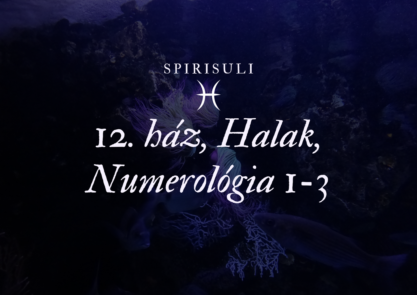 Book cover with text 'SpiriSuli' and '12. haz, Halak, Numeroloógia 1-3' against an underwater background with coral and fish.