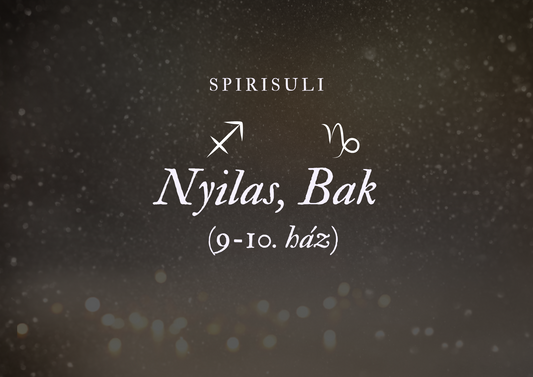A digital product cover with the title 'Nyilas, Bak (9-10. ház)' featuring astrological symbols and a dark starry background.
